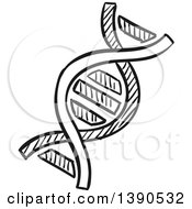 Poster, Art Print Of Sketched Dark Gray Dna Strand