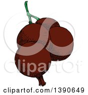 Clipart Of Sketched Black Currants Royalty Free Vector Illustration