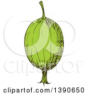 Poster, Art Print Of Sketched Gooseberry