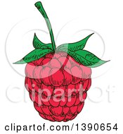 Poster, Art Print Of Sketched Raspberry