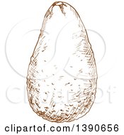 Clipart Of A Brown Sketched Avocado Royalty Free Vector Illustration