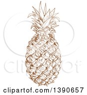 Poster, Art Print Of Brown Sketched Pineapple