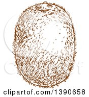 Clipart Of A Brown Sketched Kiwi Fruit Royalty Free Vector Illustration