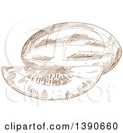 Clipart Of A Brown Sketched Melon Royalty Free Vector Illustration