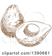 Poster, Art Print Of Brown Sketched Avocado