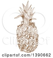 Clipart Of A Brown Sketched Pineapple Royalty Free Vector Illustration