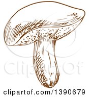 Clipart Of A Brown Sketched Mushroom Royalty Free Vector Illustration