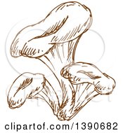 Clipart Of Brown Sketched Chanterelle Mushrooms Royalty Free Vector Illustration