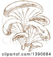 Poster, Art Print Of Brown Sketched Oyster Mushrooms