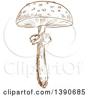 Poster, Art Print Of Brown Sketched Mushroom