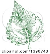 Poster, Art Print Of Sketched Green Leaf