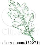 Poster, Art Print Of Sketched Green Leaf