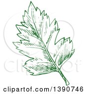 Poster, Art Print Of Sketched Green Leaf