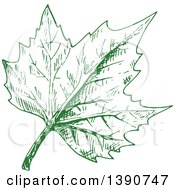 Clipart Of A Sketched Green Leaf Royalty Free Vector Illustration