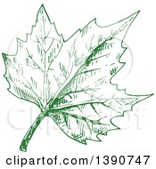 Poster, Art Print Of Sketched Green Leaf