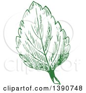 Clipart Of A Sketched Green Leaf Royalty Free Vector Illustration