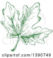 Poster, Art Print Of Sketched Green Leaf