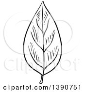 Clipart Of A Sketched Dark Gray Leaf Royalty Free Vector Illustration