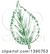 Poster, Art Print Of Sketched Green Leaf