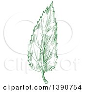 Poster, Art Print Of Sketched Green Leaf