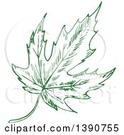 Poster, Art Print Of Sketched Green Leaf