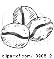 Clipart Of Gray Sketched Coffee Beans Royalty Free Vector Illustration
