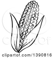 Clipart Of A Sketched Dark Gray Ear Of Corn Royalty Free Vector Illustration
