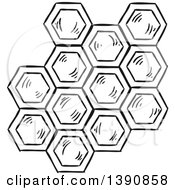 Poster, Art Print Of Black And White Sketched Honey Combs
