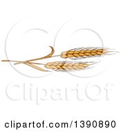 Poster, Art Print Of Sketched Wheat Stalks
