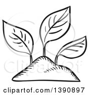 Clipart Of Sketched Dark Gray Seedlings Royalty Free Vector Illustration