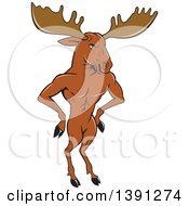 Cartoon Muscular Moose Man Standing Upright With Hands On His Hips