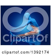 Clipart Of A 3d Anatomical Man Stretching And Touching His Toes With Visible Leg And Abdominal Muscles On Blue Royalty Free Illustration
