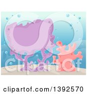 Clipart Of A Frame Made In Colorful Corals Royalty Free Vector Illustration