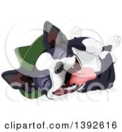 Poster, Art Print Of Cute Boston Terrier Or French Bulldog Wearing A Hat And Laying On His Back