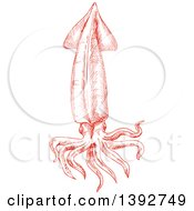 Clipart Of A Sketched Red Squid Royalty Free Vector Illustration