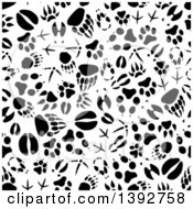 Poster, Art Print Of Seamless Background Pattern Of Black Animal Tracks