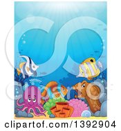 Poster, Art Print Of Group Of Marine Fish Eel And Octopus