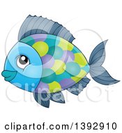 Poster, Art Print Of Colorful Fish