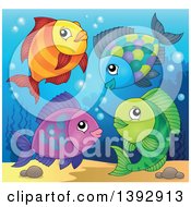 Poster, Art Print Of Group Of Fish