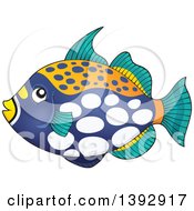 Clown Triggerfish Marine Fish