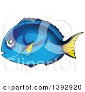 Poster, Art Print Of Hippo Blue Tang Marine Fish