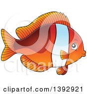 Poster, Art Print Of Clownfish Marine Fish