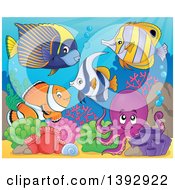 Poster, Art Print Of Group Of Marine Fish And Octopus