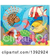 Poster, Art Print Of Shrimp Crab And Group Of Marine Fish