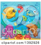 Group Of Sea Creatures