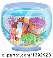 Poster, Art Print Of Clownfish Marine Fish In A Bowl