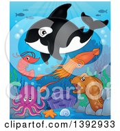 Poster, Art Print Of Killer Whale Orca And Sea Creatures