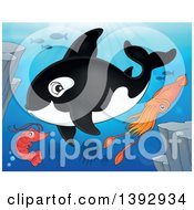 Poster, Art Print Of Killer Whale Orca Shrimp Fish And Squid