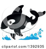 Poster, Art Print Of Killer Whale Orca