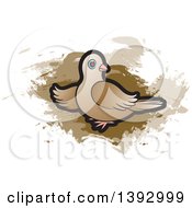 Poster, Art Print Of Dove Over Brown Paint Strokes